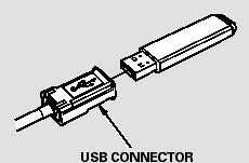 3. Connect the USB flash memory