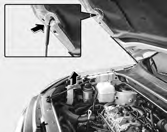 3. Lift the hood and hold it open with the support rod by inserting the free