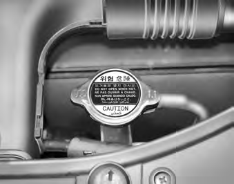 WARNING - Radiator cap Do not remove the radiator cap when the engine and radiator