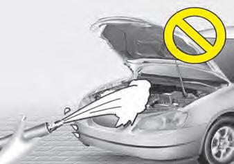 CAUTION • Water washing in the engine compartment including high pressure water