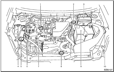 Engine compartment