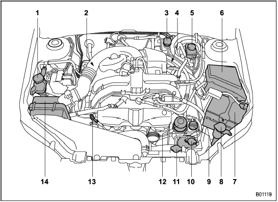 Non-turbo models